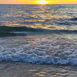 敲响抹香鲸（仲夏）（prod.by BEATSOUL激灵）