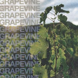 grapevine