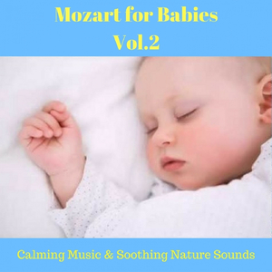 Cassation in D Major, Andante