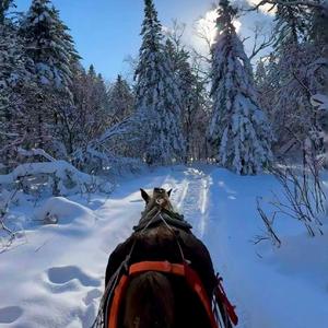 阿比萨阿比萨 (DJ7皇冠版)