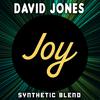 David Jones - Large (Original Mix)