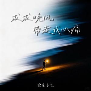 求求晚风带走我心痛