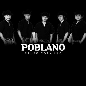 Poblano