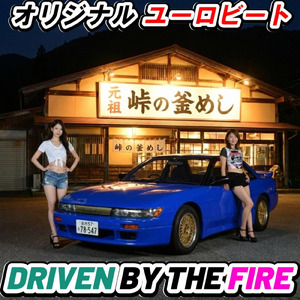 DRIVEN BY THE FIRE