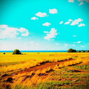 Летнее море