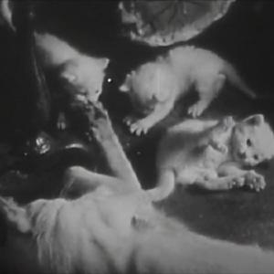 Clouds Over the Breaking Rocks (2018)