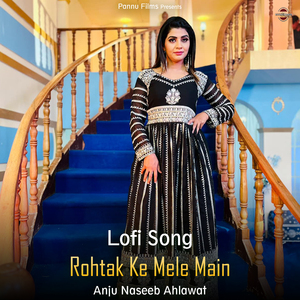 Rohtak Ke Mele Main - Lofi Song