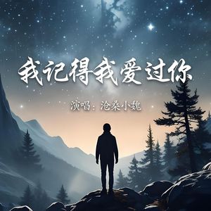 我记得我爱过你
