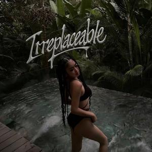 代替 Irreplaceable