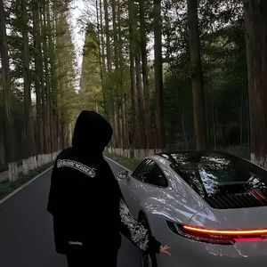 旧唱片旋转褪色的秋光
