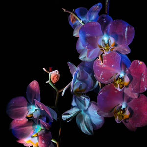 the color of the sky