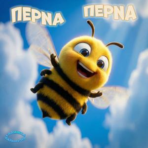 Perna Perna H Melissa