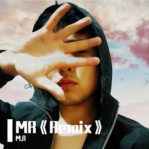 Various Artists-Tujhe Dekha To Mr Remix（M.R remix）