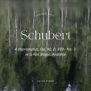 Schubert:4 Impromptus No. 3 in G Flat Major Op. 90 D. 899 - Andante