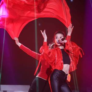 高凌风-冬天里的一把火 《星光大道》（文菁爽 remix）