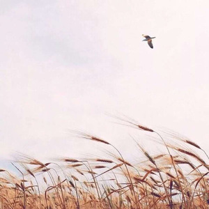 天已黑（Cover 杨宗纬）