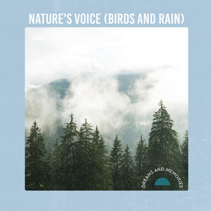 Nature's Voice (Birds And Rain)