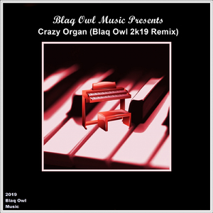Crazy Organ (Blaq Owl 2K19 Remix)