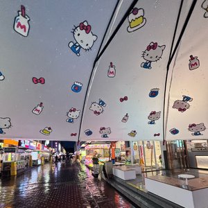 梦里的理想与现实