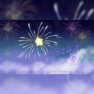 烟花升停在星夜