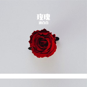 输了你赢了世界又如何