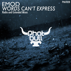 Words Can't Express (Extended Mix)