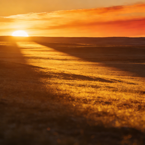 风往故乡吹啊吹