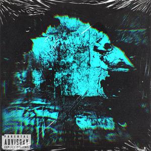 DONT LIKE YOU (feat. Swisha b)