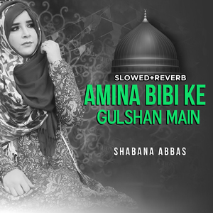 Amina Bibi Ke Gulshan Main (Lofi-Mix)