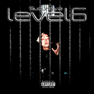 LEVEL 6