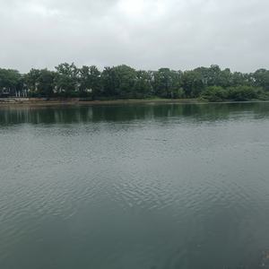 因为你也不知道