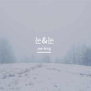 像初雪一样靠近你（첫눈처럼 너에게 가겠다）