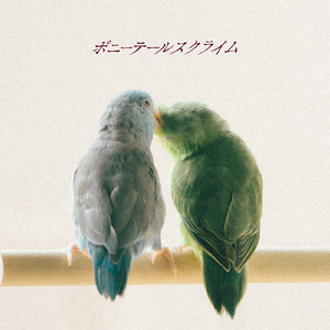 シンガーソングライター