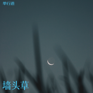 墙头草