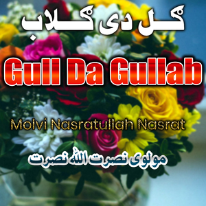 Taeza Gullab