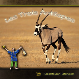 Les trois antilopes