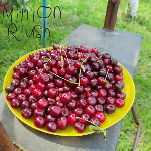 Это наконец вышло...