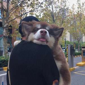 大家一起喜洋洋