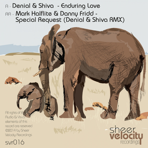 Special Request (Denial & Shiva Remix)
