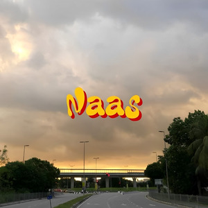 Naas