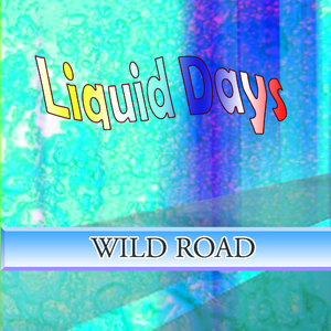 WILD ROAD