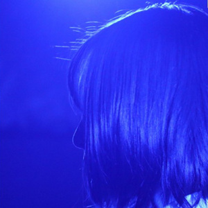 ストレイキャット