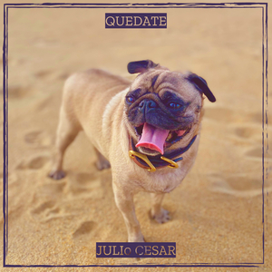 Quedate
