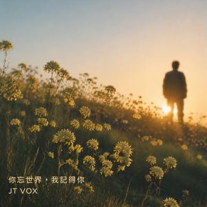 你忘了世界，我記得你