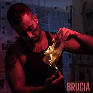 Brucia