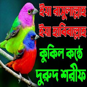 ইয়া রাসুলআল্লাহ ইয়া হাবিবআল্লাহ কোকিল কন্ঠে দরুদ শরীফ