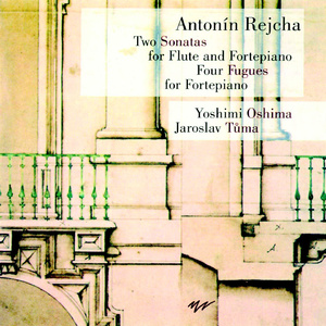 Sonata for Flute and Fortepiano in D Major, Op. 103:I. Lento. Allegro non troppo