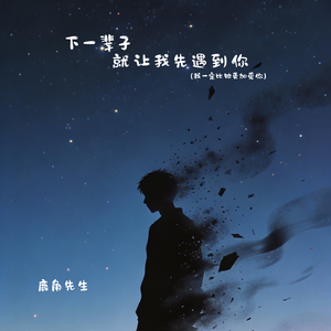 下一辈子就让我先遇到你（我一定比她更加爱你）