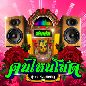 คนไหนโสด (สายย่อ)