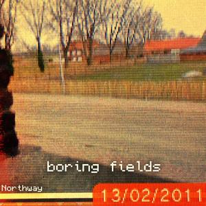 boring fields